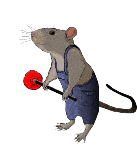 Rat Plumber WIP