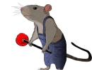 Rat Plumber WIP