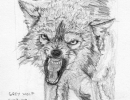 js57_wolf_110709